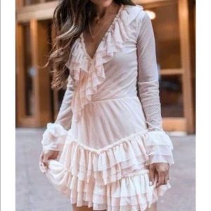 Mesh Ruffle Dusty Rose Dress HAH